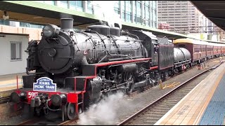 Australian Trains  Steam Locomotives in Action 2020 Review [upl. by Sellig]