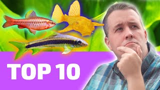 Top 10 EASY Fish That Every BEGINNER Needs [upl. by Nisotawulo255]