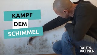 Kampf dem Schimmel  So werden Sie ihn los  BAUEN amp WOHNEN [upl. by Tonkin]