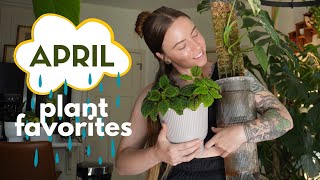 April plant favorites ♡ [upl. by Mcnamara]