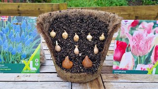 Planting with the Seasons A MonthbyMonth Guide to Vegetable Sowing Dates [upl. by Flanders329]