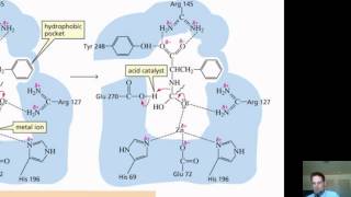 Chapter 24 – Catalysis Part 2 of 2 [upl. by Amadeo]