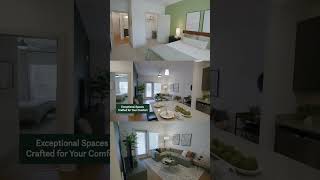 Arden Apartments Social  Oakwood GA Apartments  Greystar [upl. by Fisa]