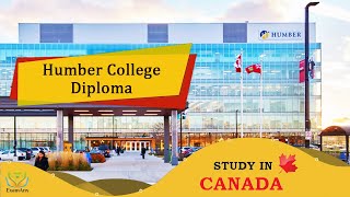 Humber College Canada  2 Year Diploma Courses  International Students In Canada  Examany [upl. by Nevanod]