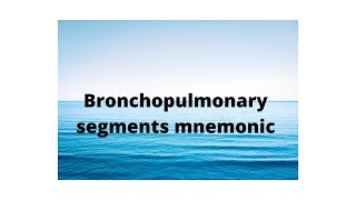 BRONCHOPULMONARY SEGMENTSMNEMONIC [upl. by Atteloj955]