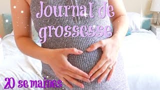 Journal de grossesse  20 semaines [upl. by Preiser]