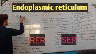 Endoplasmic reticulumDetail pashto lectures [upl. by Humberto]