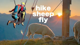 Hike Sheep Fly  Family Adventure [upl. by Gulgee97]