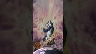 The Assumption of Mary Diocese of San Bernardino [upl. by Ymas]