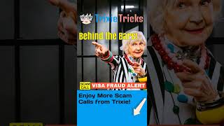 Visa Scammer Derailed by Grandma [upl. by Dloreh990]