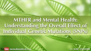 MTHFR and Mental Health Understanding the Overall Effect of Individual Genetic Mutations SNPs [upl. by Nnylassej31]