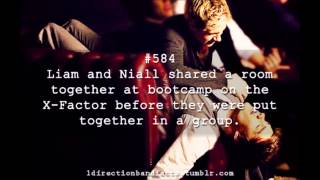 Niam and Ziall Facts [upl. by Certie]