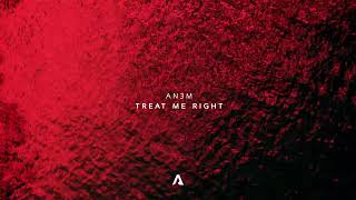 AN3M  Treat Me Right Official Visualizer [upl. by Draillih]