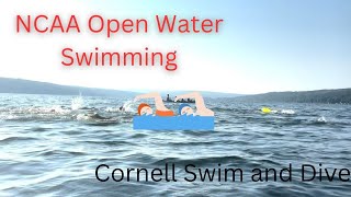 Cornell SwimDive Annual Cayuga Lake Swim  Vlog 54 [upl. by Ase]