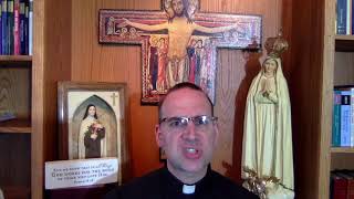 Basics of Catholicism  Episode 37 The Fifth Commandment [upl. by Burrows792]