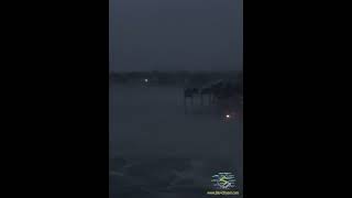 Hurricane Milton In FL In October 2024 Shorts [upl. by Sabina]