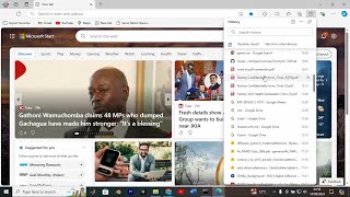 How To See the Browsing History in Microsoft Edge 2024  Quick Fix [upl. by Jar925]