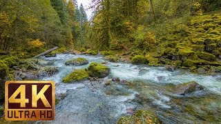 Beautiful Nature Video in 4K Ultra HD  Autumn River Sounds  5 Hours Long [upl. by Airtina]