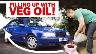 The Pros amp Cons Of Running An Old Diesel On Used Vegetable Oil [upl. by Spurgeon715]