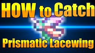 Terraria  How to Catch Prismatic Lacewing [upl. by Niwrehs675]