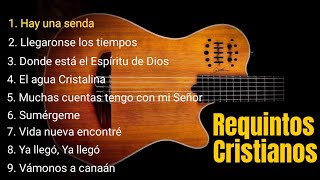 25 minutos de REQUINTOS CRISTIANOS En Guitarra 🎸🎵 [upl. by Buddie]