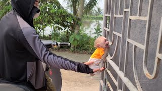 Monkey David ran after Dad demanding to go visit his grandparents [upl. by Lymann]