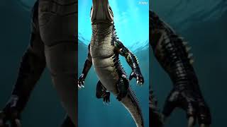 SHARK VS CROCODILE viralvideo edit explore trending shark crocodile fyp ownedit [upl. by Ycniuqed]