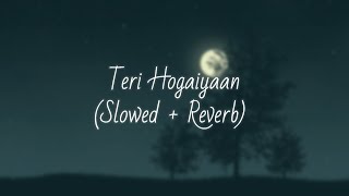 Teri Hogaiyaan  slowed amp reverb  kaisa Pyaar tu jataaye  vishal mishra  Ak Lyrics [upl. by Isabea]