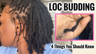 Things You Need To Know About Loc Budding What is Loc Budding How to Fix It How To Stretch Them [upl. by Anetsirk]