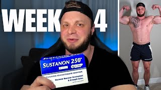 Prohormone Sustanon 250 4andro Review l WEEK 4  Before amp After [upl. by Hamid405]