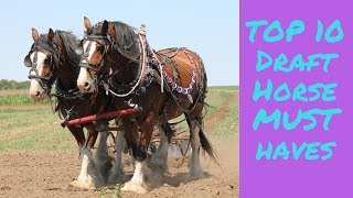 TOP 10 DRAFT HORSE MUST HAVES [upl. by Marte]