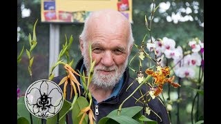 Orchidee istruzioni per luso le Vanda [upl. by Silado306]