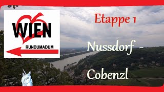 Wiener rundumadumWanderweg  Etappe 1 Nussdorf  Cobenzl  Wandern in Wien [upl. by Raffaj]