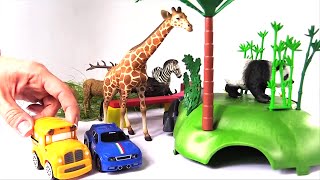 Animales salvajes para niños  Vamos al Zoológico  Carros para niños [upl. by Reinold]