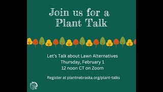 Plant Talk Lets Talk about Lawn Alternatives 2124 [upl. by Onaicnop]