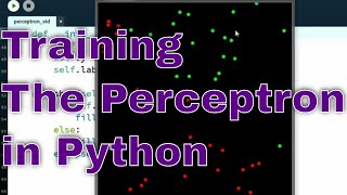 Perceptron Training Python [upl. by Nabe]