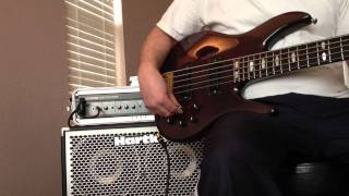 Peavey TLFive and Hartke LH1000HyDrive 410 [upl. by Yarised]