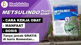 Review Keunggulan Herbisida Metsulindo Plus 80 WP  Cara Mengendalikan Rumput Padi [upl. by Sibella]