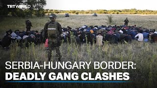 Migrant smugglers turn Serbia border into battleground [upl. by Giesser210]