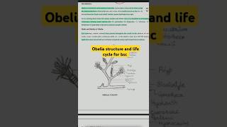 structure and life cycle of obelia for bsc 1st year [upl. by Pearman778]