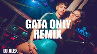 GATA ONLY REMIX CRIS MJ DJ ALEX [upl. by Sigrid]