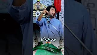 Ay Sabaz gumbat Waly Manzor Dua krna naat duet yahussain youtubeshorts shorts yasserdesai [upl. by Dyann766]