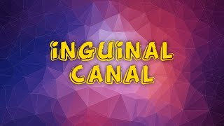 inguinal canal anatomypptvideo lecturembbs [upl. by Ahsienad]