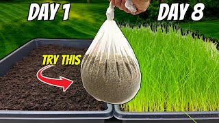 The FASTEST Way to Grow Grass Seed Pregermination Secrets REVEALED [upl. by Nabalas423]