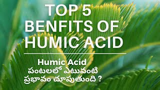 Humic Acid uses in agriculture [upl. by Rafa]