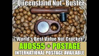 quotQueensland Nutquot Buster  Macadamia Nutcracker [upl. by Spiegel]