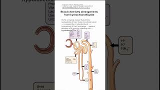 Blood chemistry derangements from hydrochlorothiazide [upl. by Ninnette]