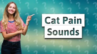 What does a cat in pain sound like [upl. by Brianna]