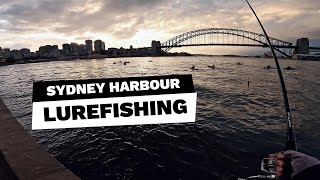 Lurefishing in Sydney Harbour on winter [upl. by Genny904]