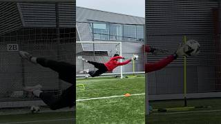 HIGH DIVING WITH A PRO 👀🔥 goalkeeper goalkeepertraining [upl. by Quinby621]